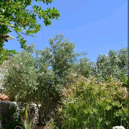 Appartement πέτρινο